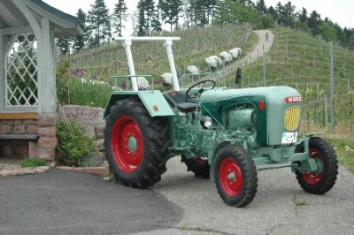 TL38woernera.JPG