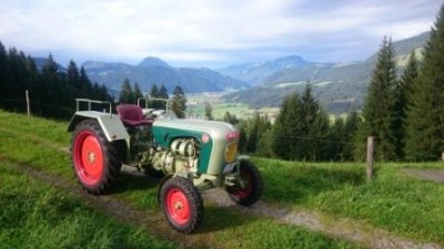auf der Alm.JPG